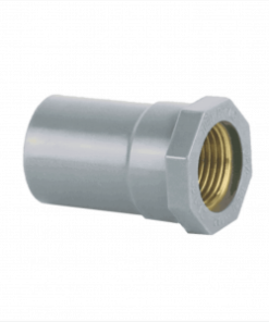 Phụ tùng cấp: Nối thẳng ren trong đồng