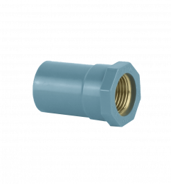 Phụ tùng cấp: Nối thẳng ren trong đồng